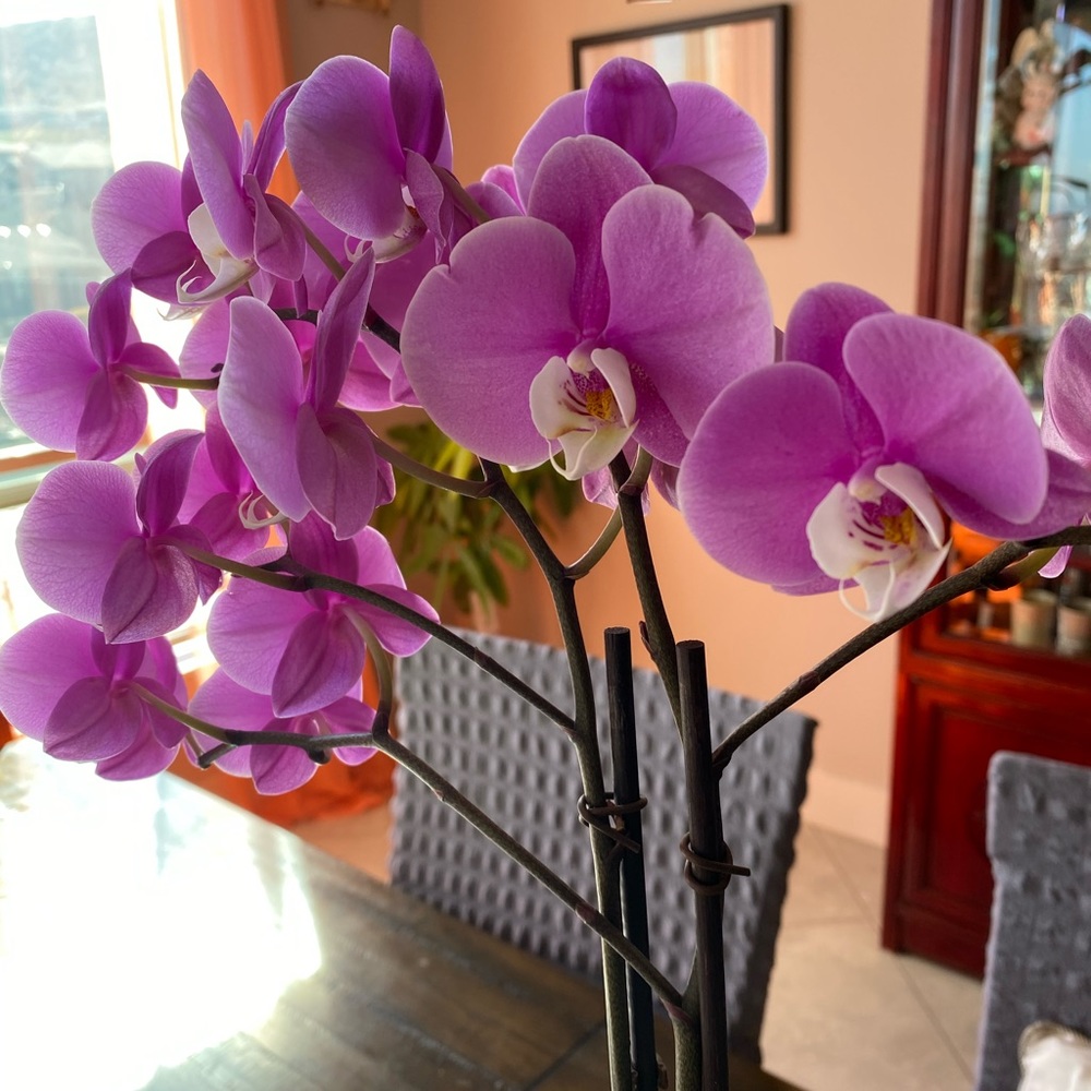 Nothing just for color In my page